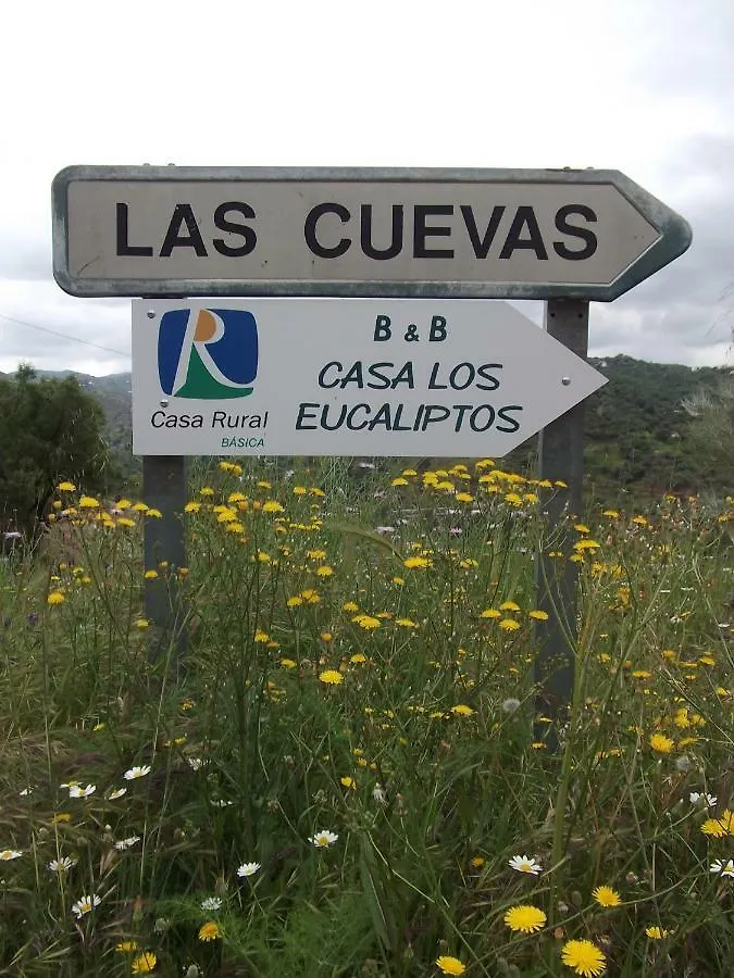 Casa Los Eucaliptos Bed & Breakfast Comares Spain